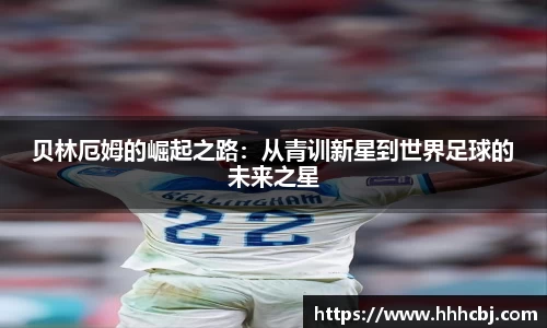 jn江南·体育登录入口
